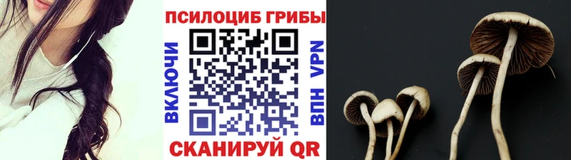 Псилоцибиновые грибы ЛСД Комсомольск-на-Амуре